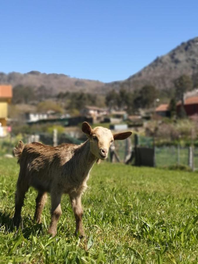 Hogar Gallan * Gondomar